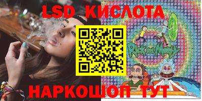 сатива Будённовск
