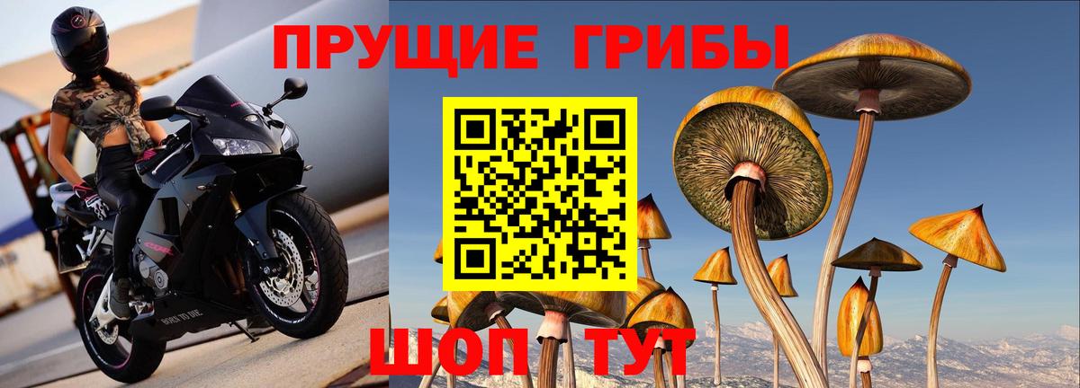 Озёры  Галлюциногенные грибы ЛСД  Вход с VPN 