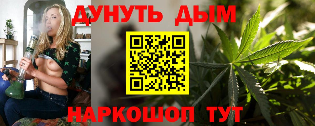 Канабис сатива Озёры